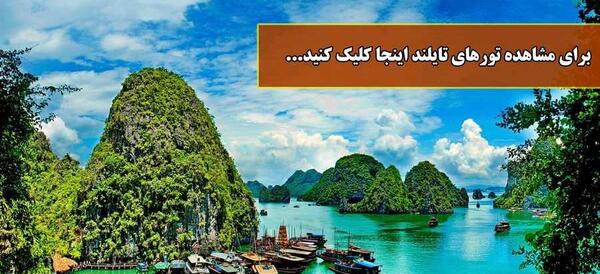 عکس میمون لب دریا