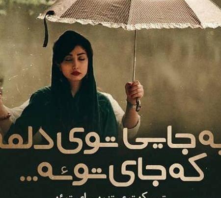 عکس عقاب راحت
