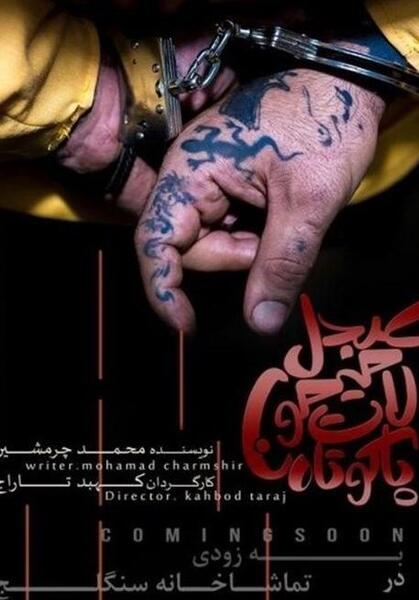عکس میمون لات