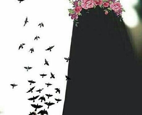 عکس دخترانه برای پروفایل با حجاب