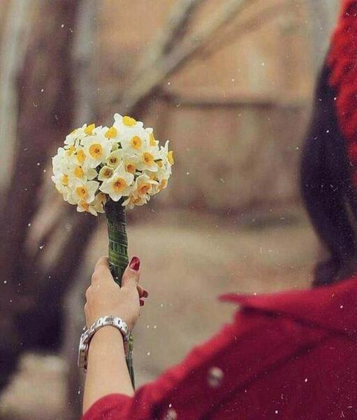 عکس دخترانه برای پروفایل بدون چهره