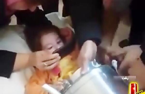 عکس سگ خانگی پاکوتاه