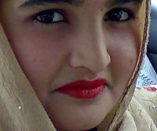 عکس سگ خانگی خوشگل