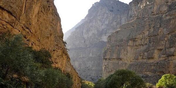 عکس ایدا لاولیس