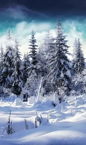 عکس زمستانی بک گراند