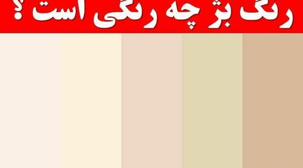 عکس رنگ بژ