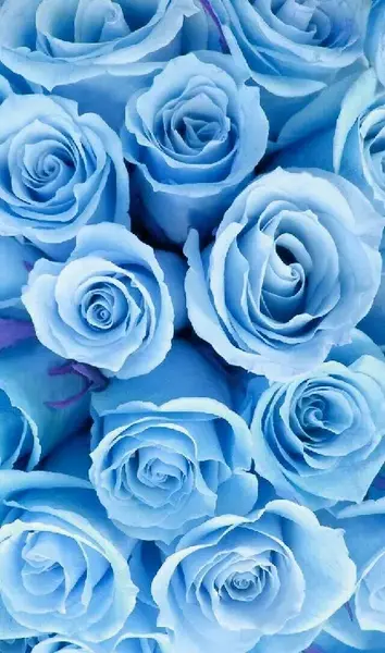 عکس رنگ آبی کاربنی