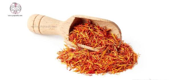 عکس گل رنگ غذا