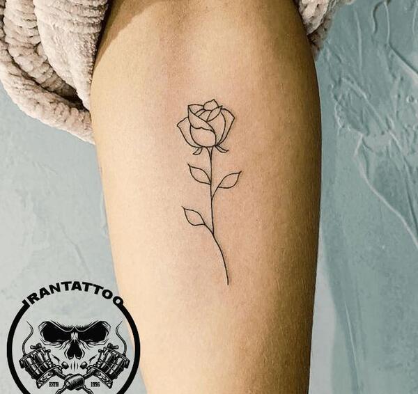 عکس تاتو روی دست گل رز