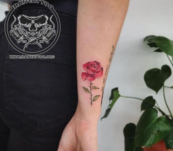 عکس تاتو روی دست گل رز