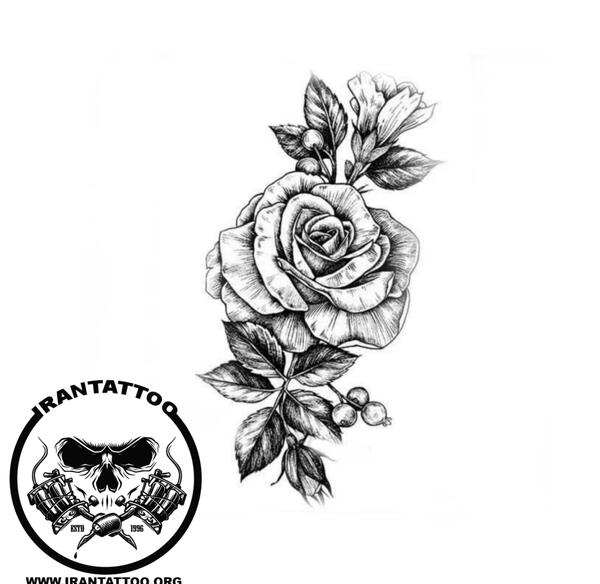 عکس تاتو روی دست گل رز