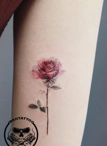 عکس تاتو روی دست گل رز