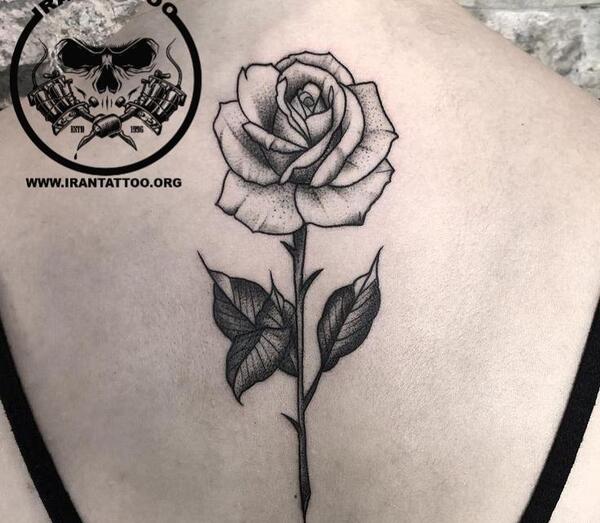 عکس تاتو روی دست گل رز