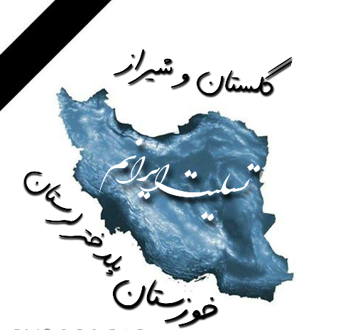 عکس پلیس نیویورک