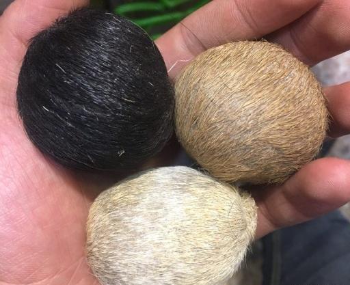 عکس عطر مشک