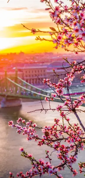 عکس کاغذ دیواری برای تصویر زمینه