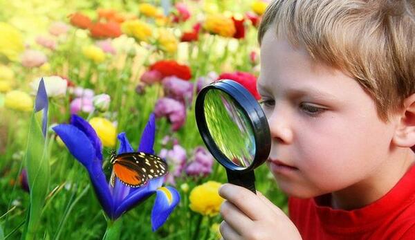 عکس برای گروه تیزهوشان