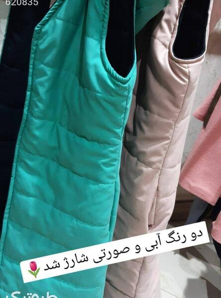 عکس پافر دو رویه