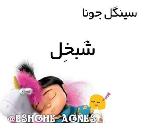 عکس برای گروه سینگلا
