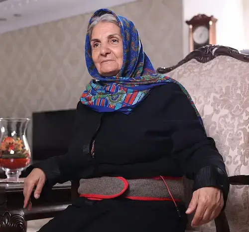 عکس کمربند پلاتینر