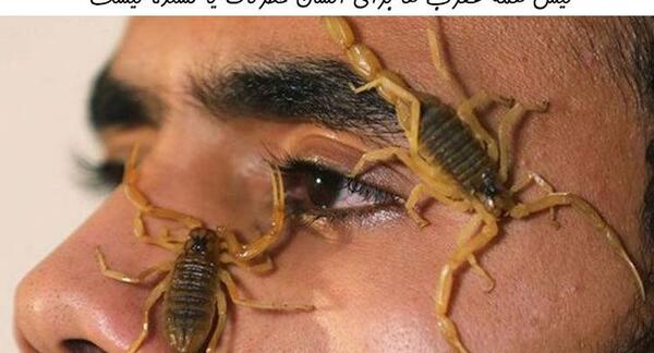عکس نود بچه