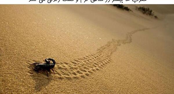 عکس نود بچه