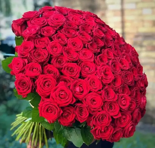 عکسهای گل