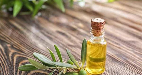 عکس چوب صندل سفید