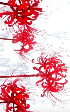 کیوت ترین عکس انیمه