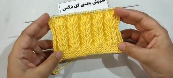 عکس بافت خوشه گندم