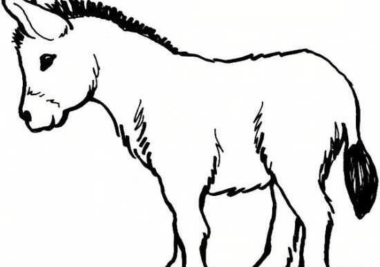 عکس طراحی پسرانه ساده