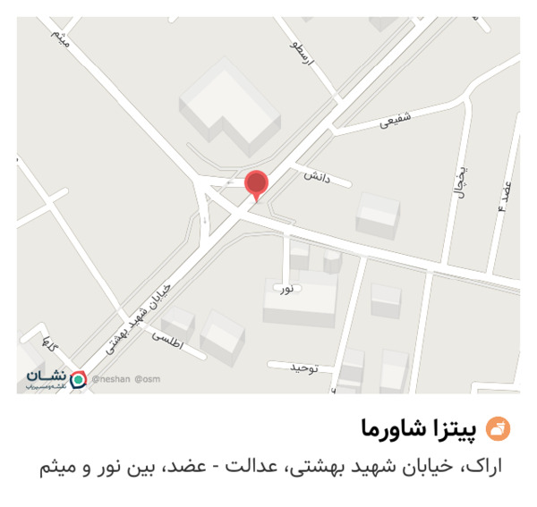 عکس پیتزا شاورما