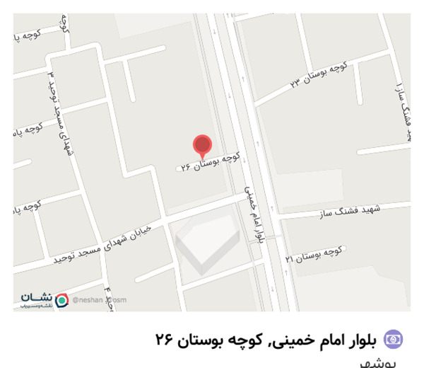 عکس پیتزا شاورما