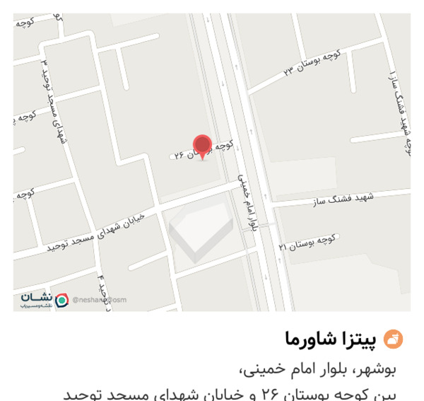 عکس پیتزا شاورما