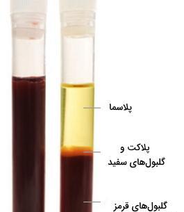 عکس بافت خون