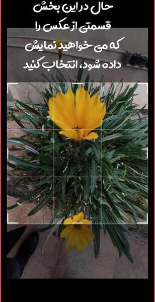 عکس برای گروه جدید