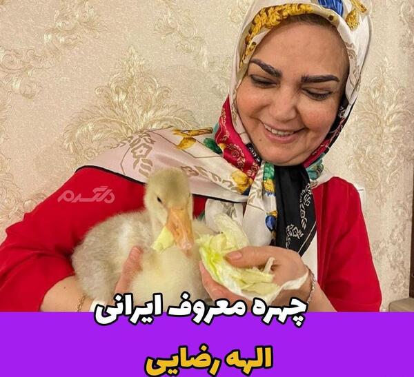 عکس مجری الهه رضایی