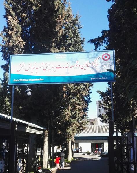 عکس پیتزا جو