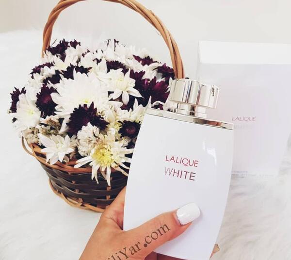 عکس عطر لالیک مشکی