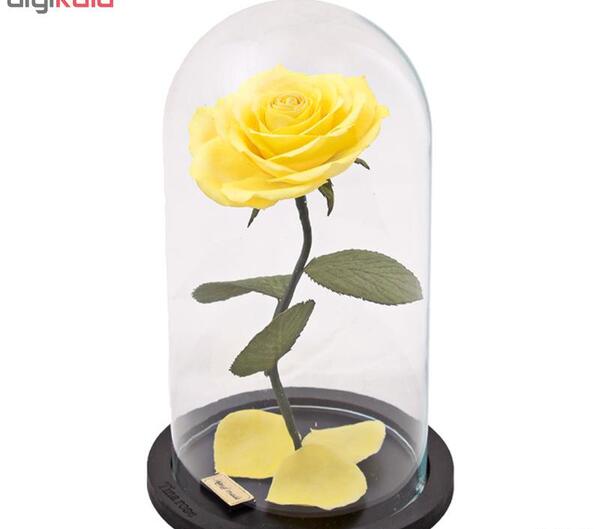 عکس گل رز در گلدان شیشه ای