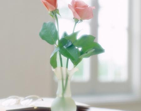 عکس گل رز در گلدان شیشه ای