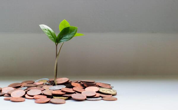 عکس پروفایل برای گروه صندوق