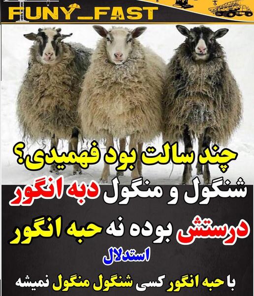 عکس تاب تاب عباسی