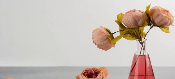 عکس گل رز صد برگ