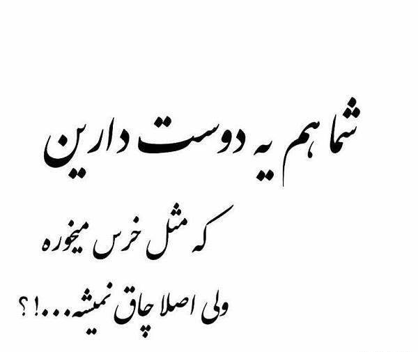 عکس دختر لاغر شیک