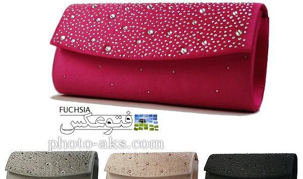 عکس از کیف مجلسی
