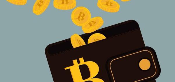 عکس کیف پول دیجیتال