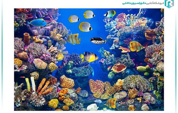 کاغذ دیواری عکس حیوانات