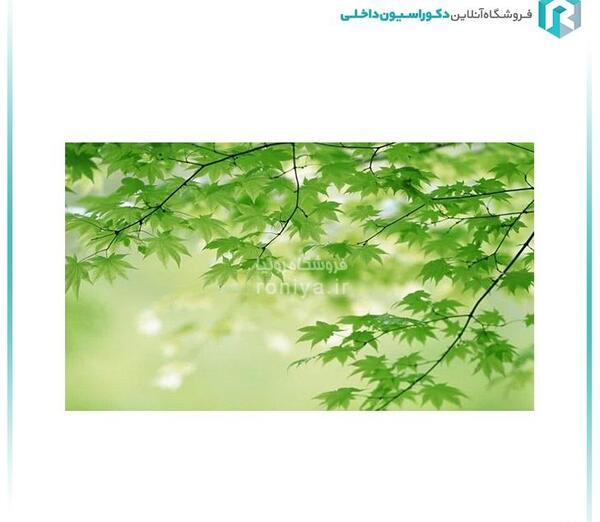 کاغذ دیواری عکس حیوانات
