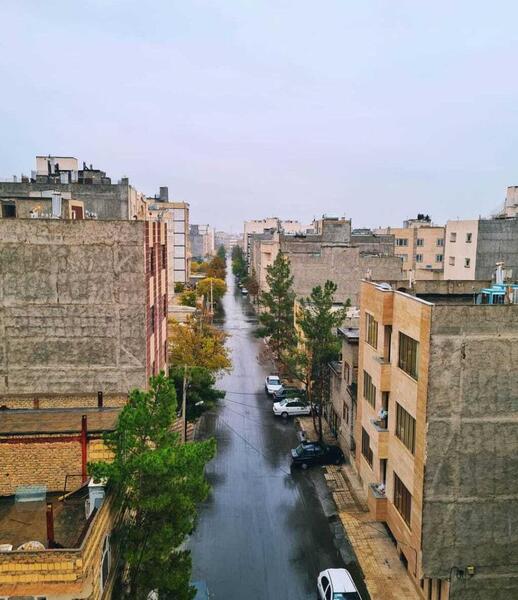 عکس بارانی مشهد